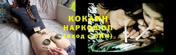 прущие крисы Тавда