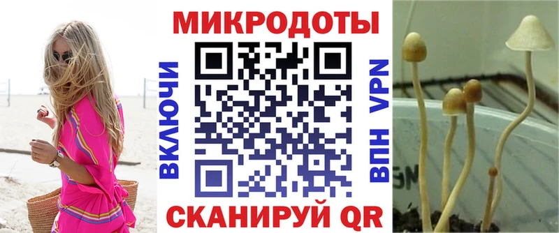 Псилоцибиновые грибы мицелий Берёзовский